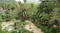 Gartenanlage