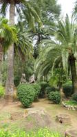 Gartenanlage