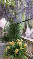 Gartenanlage