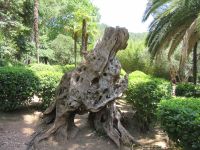 Gartenanlage