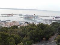 Hafen Palma