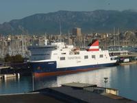 Hafen von Palma