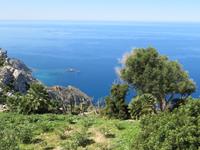 IMG_2590
