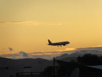 IMG_7445.JPG