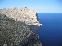 IMG_9805