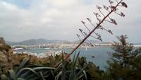 Ibiza-Stadt
