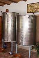 Im Weingut 
