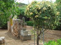 Im botanischen Garten 