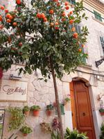 In Valldemossa