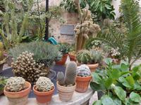 Innenhof Soller