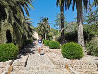 Jardins d’Alfabia