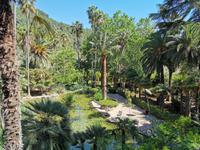 Jardins d’Alfabia