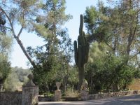 Landgut Es Calderes