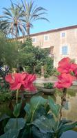 Landgut San Marroig