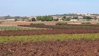 Landschaft bei Petra, Mallorca