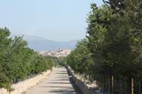 Llubi