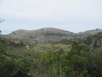 Lluc (14)