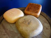 Mahon Käse