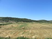 Menorca (1)