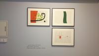 Miro im Museum in Soller