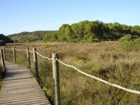Naturpark 