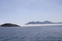 Nebeldunst