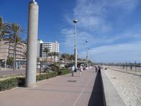 Oh ja, Sonne tut gut! Am Strand von Palma