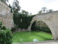 Palma (11)