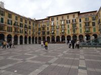Palma - Placa Major