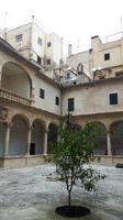 Palma de Mallorca (Kathedrale - Kreuzgang)