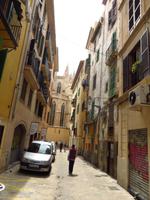 Palma