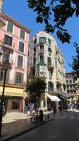 Palma