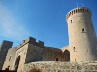 Palma