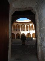 Palma