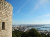 Palma
