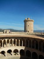 Palma
