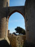 Palma