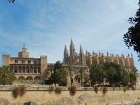 Palma