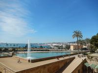 Palma