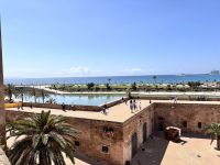 Parc de la Mar, Palma