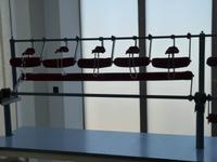 Perlen aus Manacor  (9)