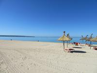 Platja de Mallorca (1)