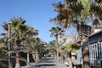 Playa de Palma