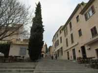 Pollenca