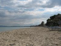 Port de Alcudia