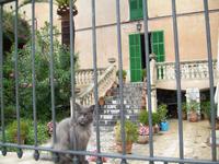Port de Soller