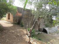 Raixa (19)