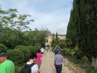 Raixa (6)
