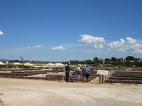 Salines d'Es Trenc (3)
