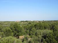 San Bou (7)